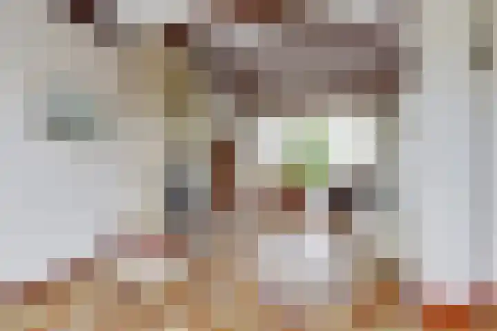 Frisostraat 9 Schore thumbnail 7