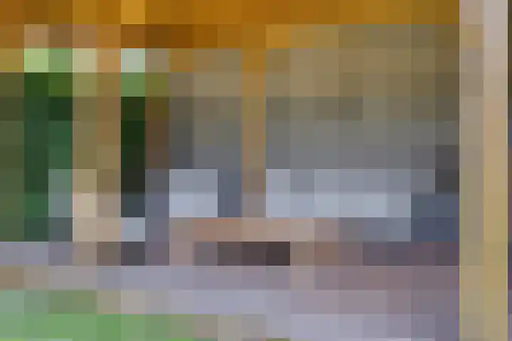 Frits Bakershof 2 Nuenen thumbnail 33