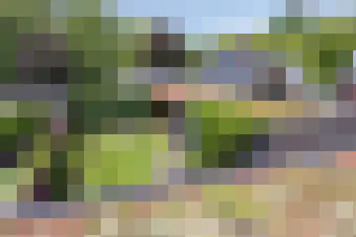 Frits Bakershof 2 Nuenen thumbnail 35