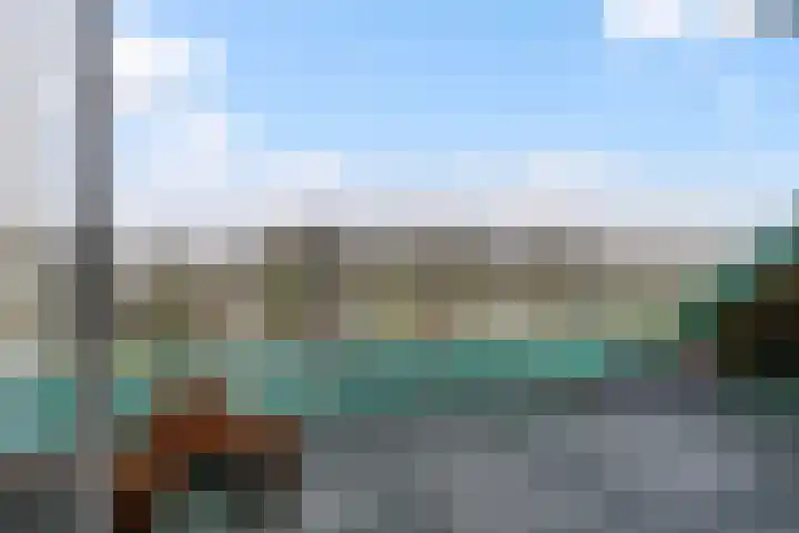 Frittemaleane 1 032 Sneek thumbnail 20