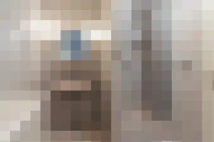 Frittemaleane 1 032 Sneek thumbnail 30