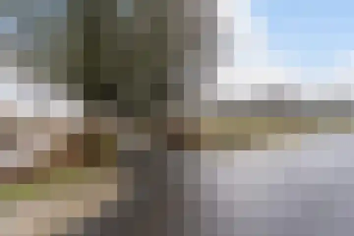 Frittemaleane 1 032 Sneek thumbnail 38