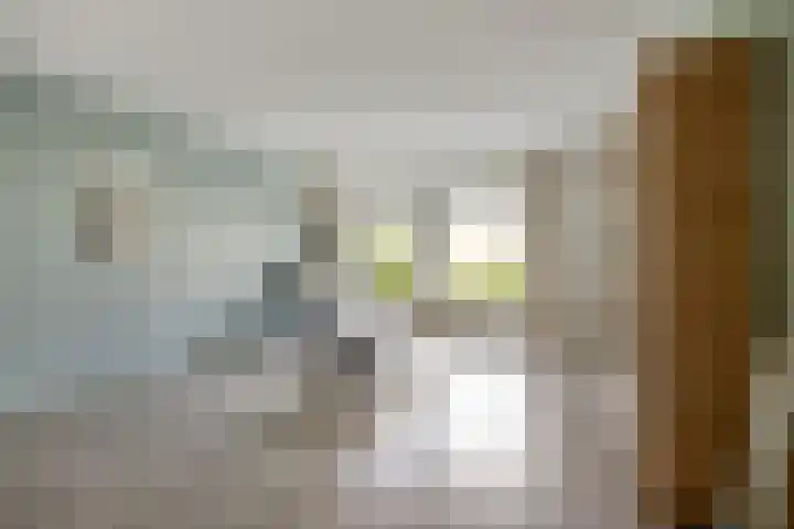 Frittemaleane 60 Sneek thumbnail 15