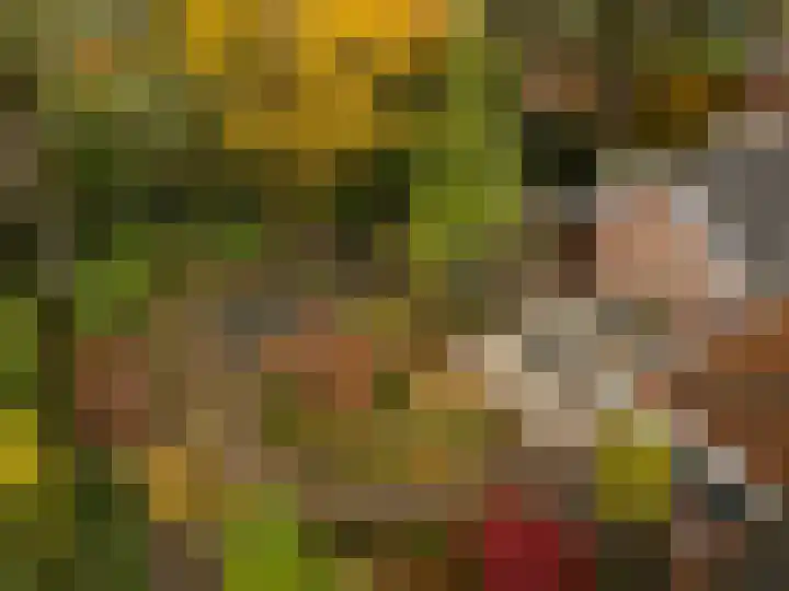 Frittemaleane 60 Sneek thumbnail 22