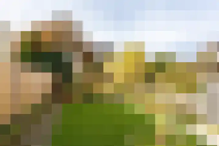 Frittemaleane 60 Sneek thumbnail 24