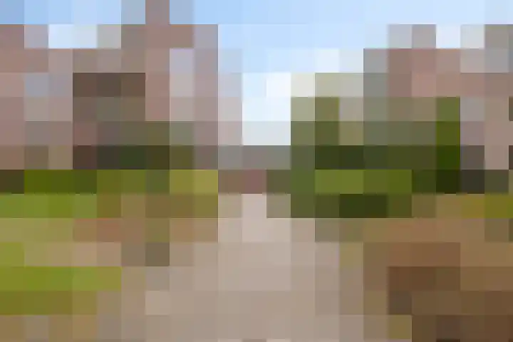 Frittemaleane 60 Sneek thumbnail 8