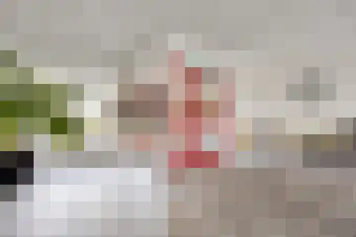 Frittemaleane 60 Sneek thumbnail 9