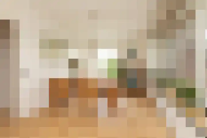 Frittemaleane 75 Sneek thumbnail 18