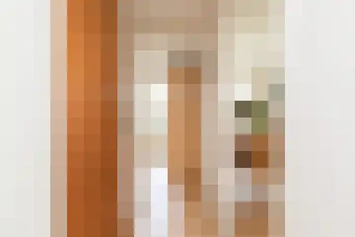 Frittemaleane 75 Sneek thumbnail 20