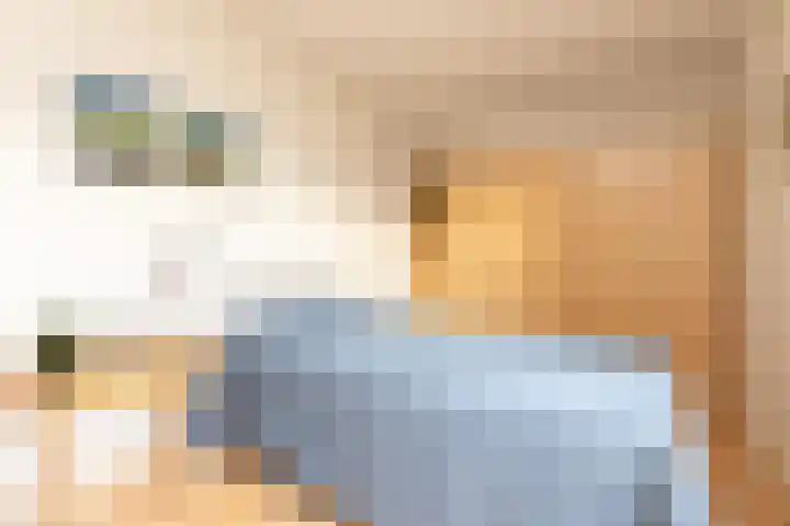 Frittemaleane 75 Sneek thumbnail 22