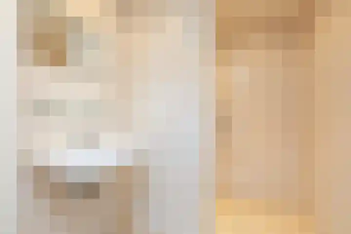 Frittemaleane 75 Sneek thumbnail 23