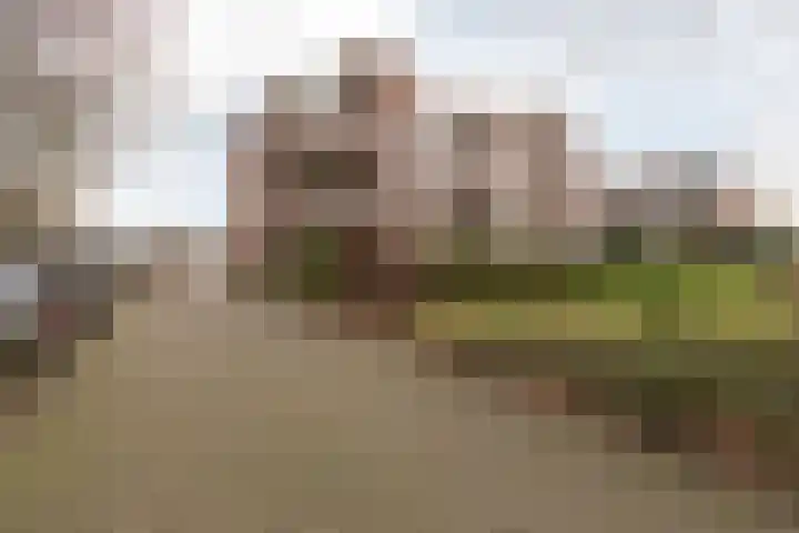 Frittemaleane 75 Sneek thumbnail 29