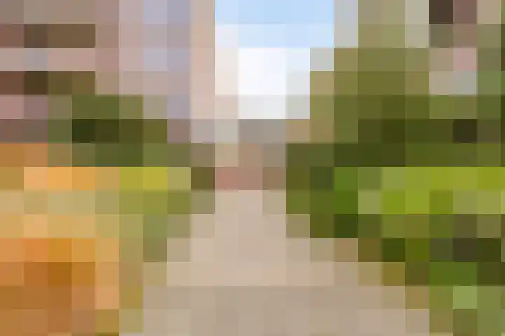 Frittemaleane 75 Sneek thumbnail 30