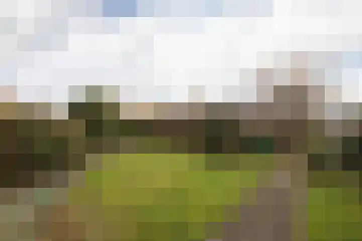 Frittemaleane 75 Sneek thumbnail 4