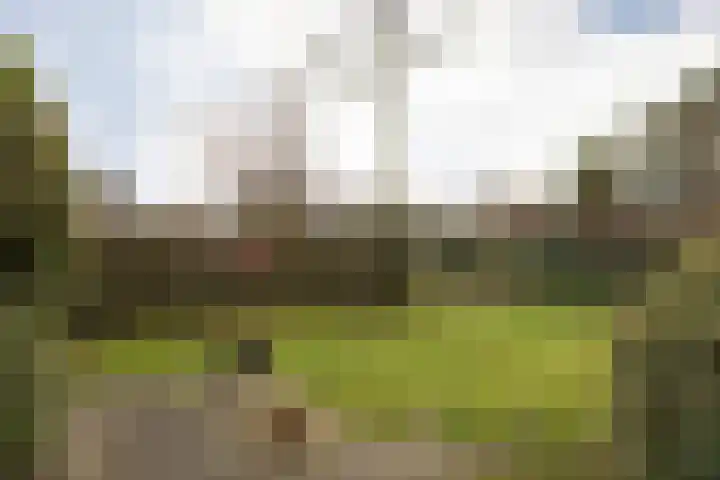 Frittemaleane 75 Sneek thumbnail 5