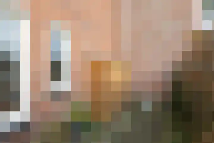 Frittemaleane 75 Sneek thumbnail 9