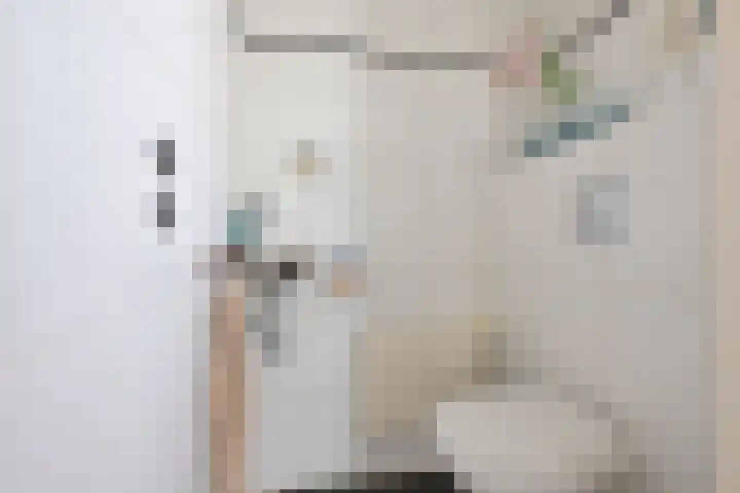 Fritz Conijnstraat 5 Heemskerk thumbnail 30