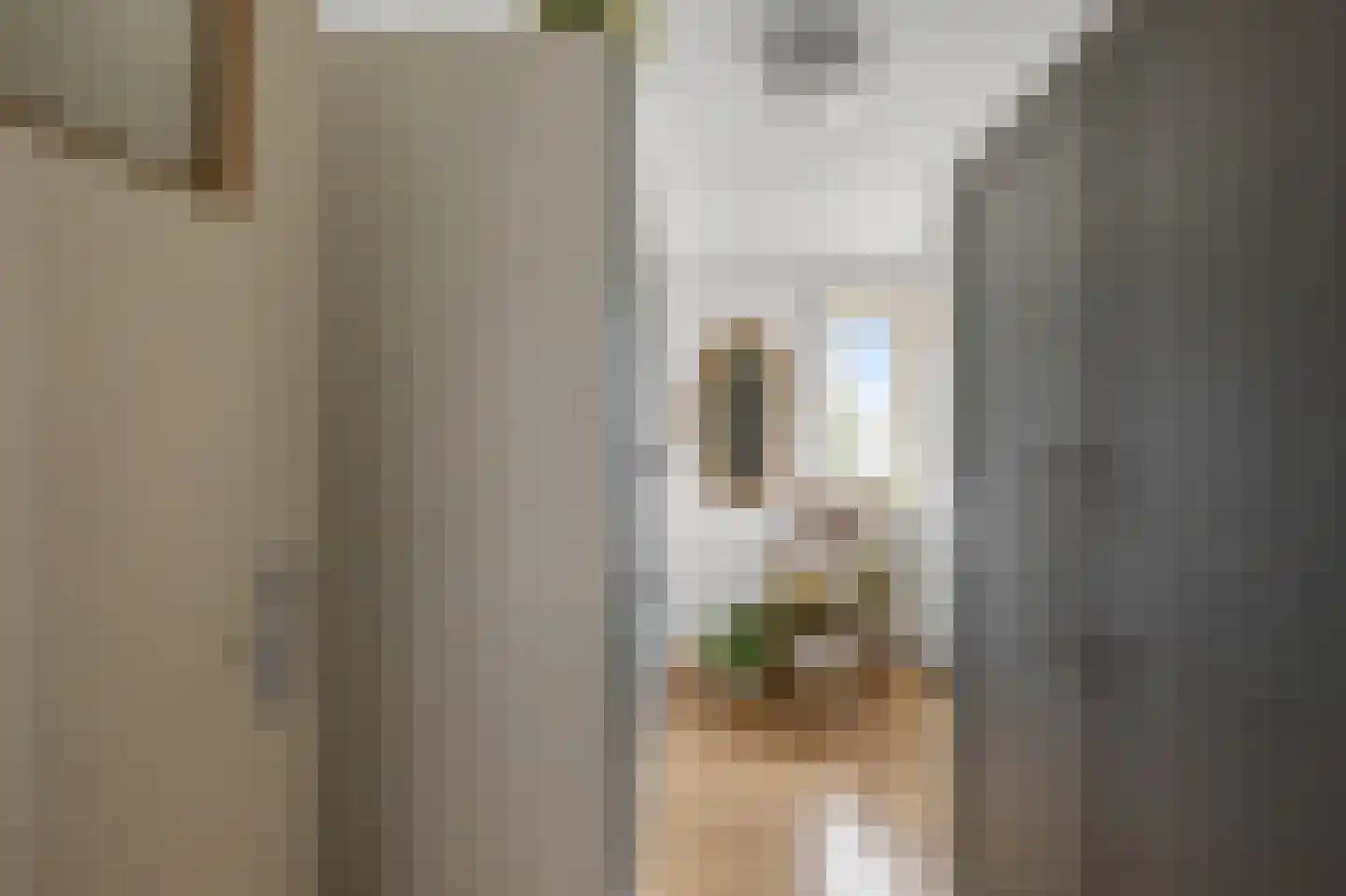 Fritz Conijnstraat 5 Heemskerk thumbnail 37