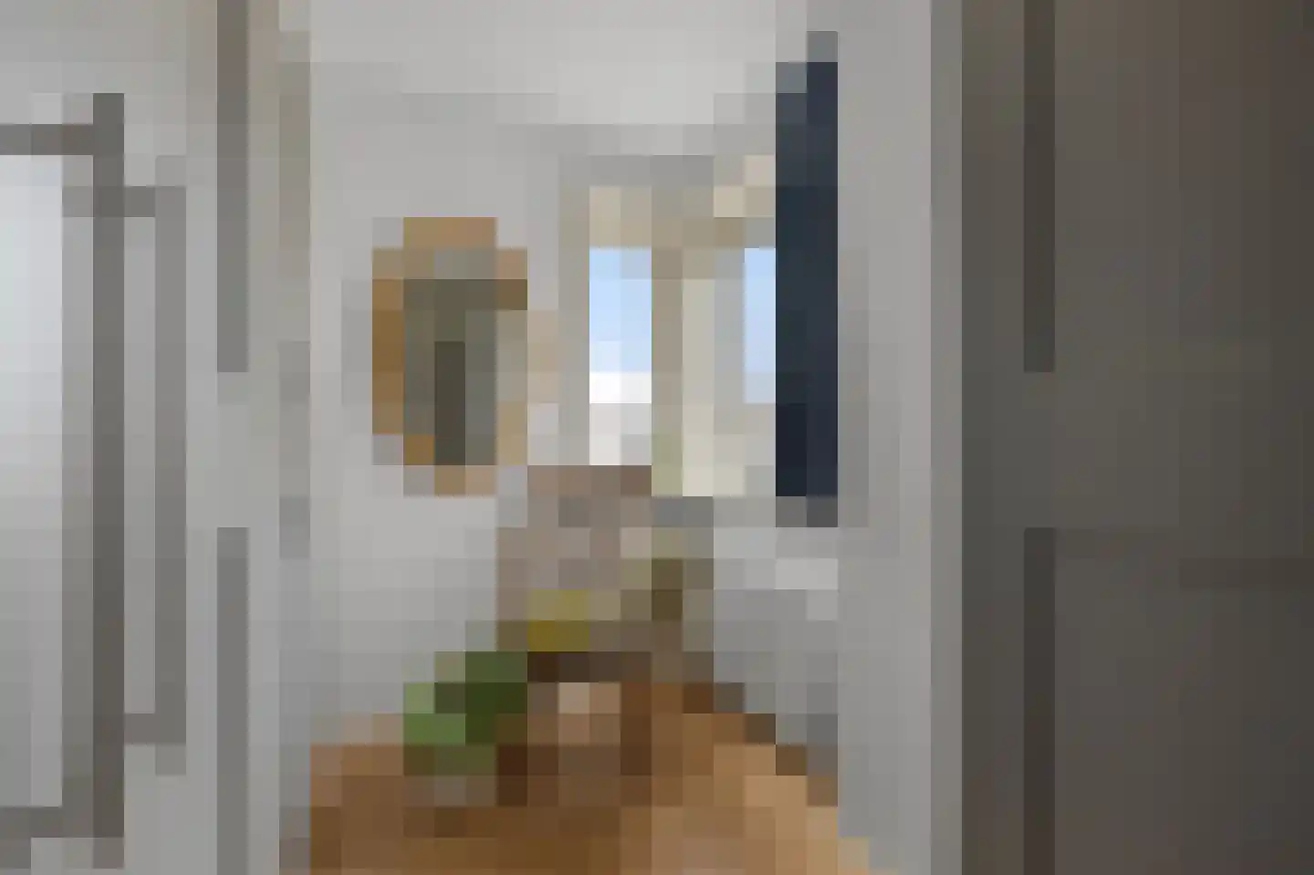 Fritz Conijnstraat 5 Heemskerk thumbnail 38