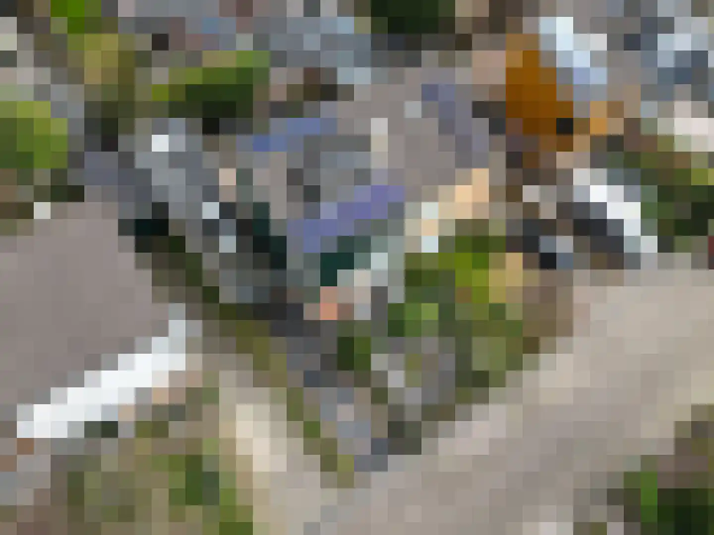 Fritz Conijnstraat 5 Heemskerk thumbnail 67
