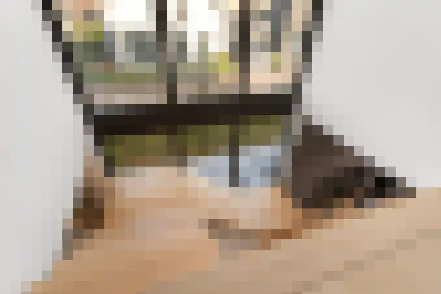 Fritz Langstraat 5 Nijmegen thumbnail 35