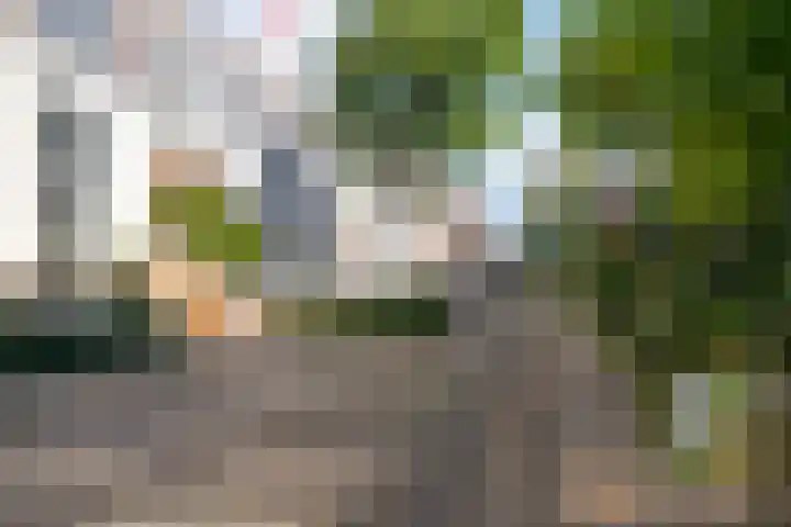 Frombergstraat 60 Arnhem thumbnail 31