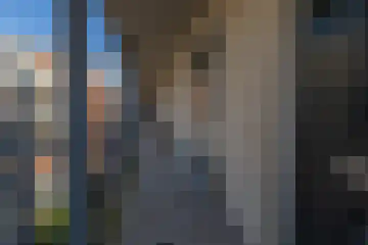 Frontonstraat 31 Helmond thumbnail 10