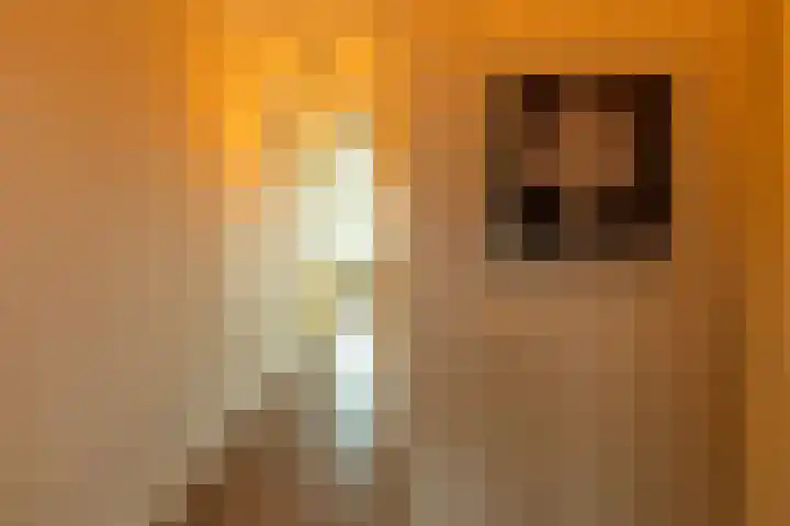 Frontonstraat 31 Helmond thumbnail 11