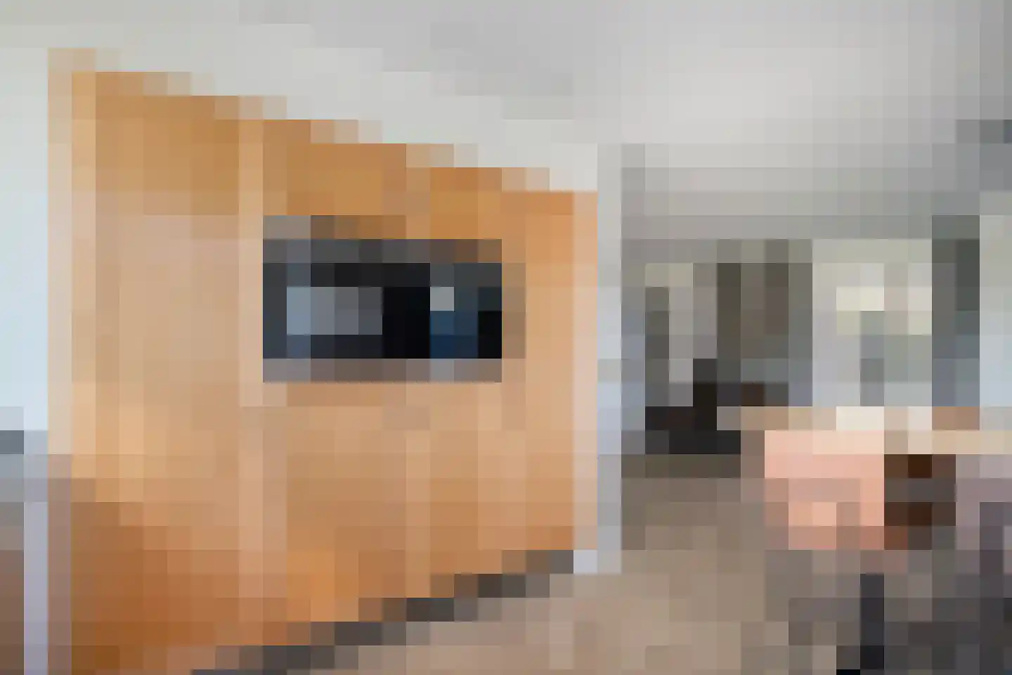 Fruitgaard 29 Uden thumbnail 11