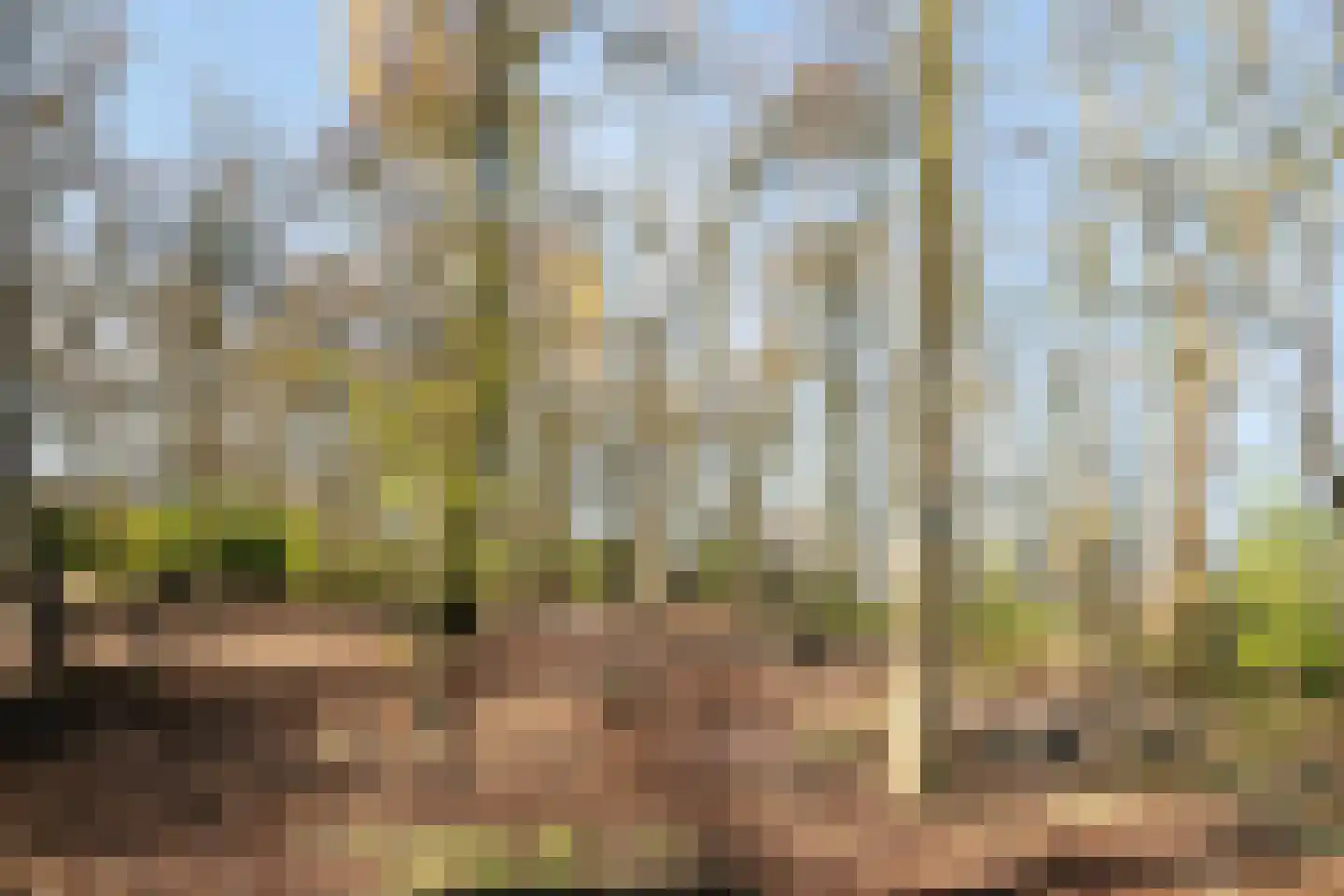 Fruitgaard 29 Uden thumbnail 49