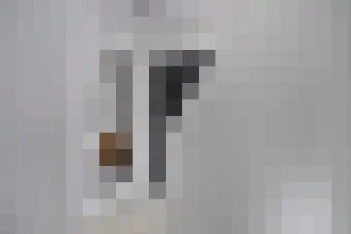 Fruitgaard 74 Uden thumbnail 10