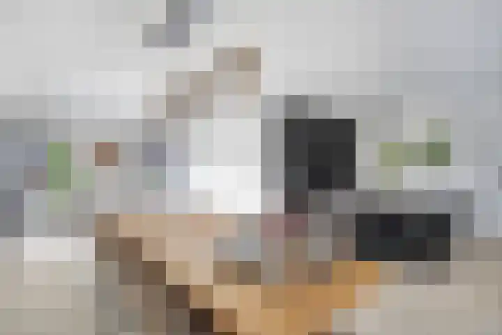 Fruitgaard 74 Uden thumbnail 18