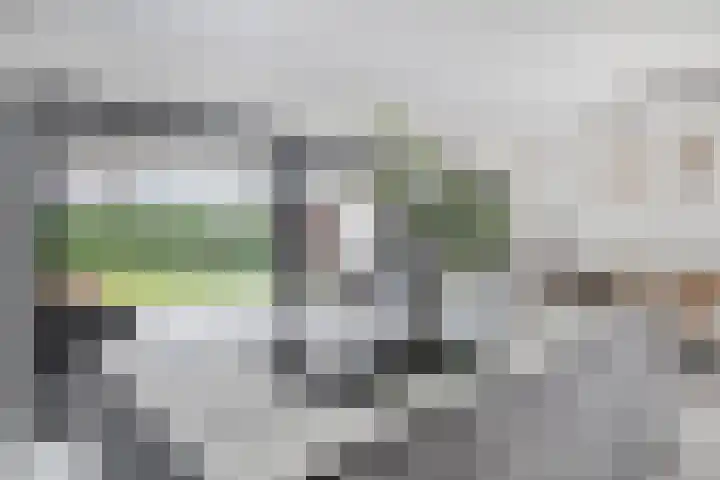Fruitgaard 74 Uden thumbnail 21