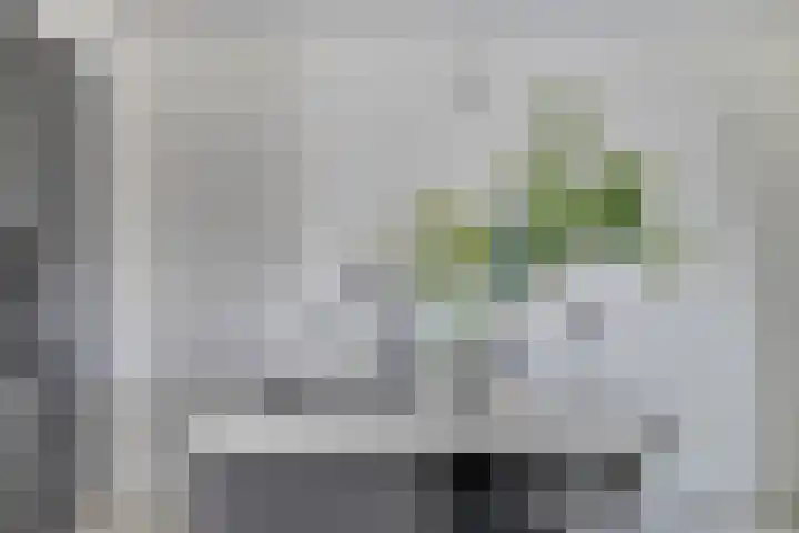 Fruitgaard 74 Uden thumbnail 22