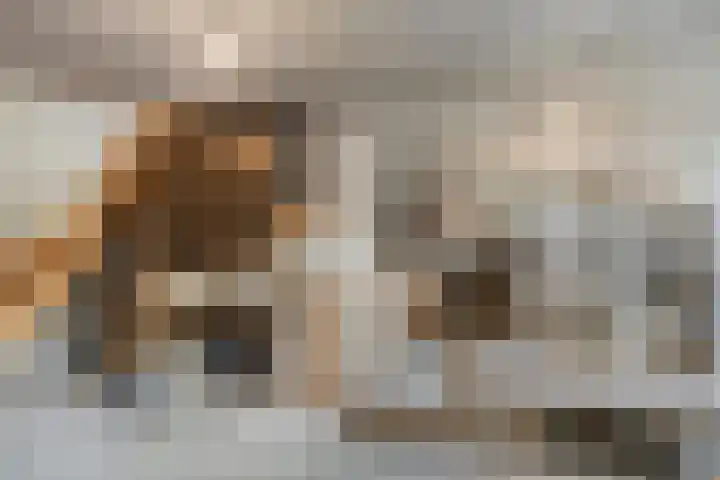Fruitgaard 74 Uden thumbnail 42