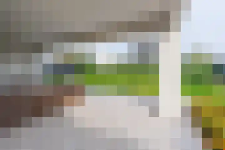 Fruitgaard 74 Uden thumbnail 54