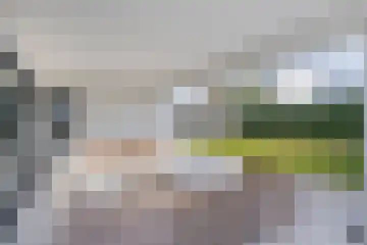 Fruitgaard 74 Uden thumbnail 56
