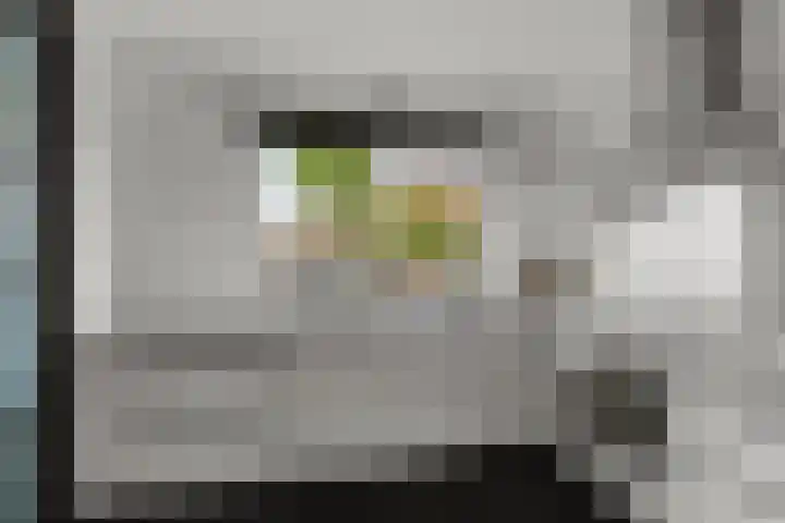 Fruithoeve 26 Arnhem thumbnail 16