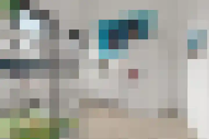Fruithoeve 26 Arnhem thumbnail 32