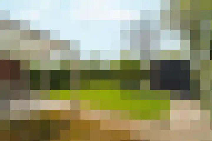 Fruithoeve 26 Arnhem thumbnail 33