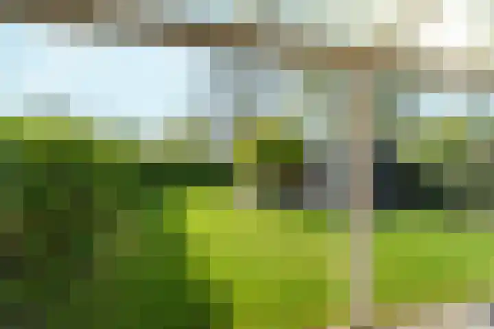 Fruithoeve 26 Arnhem thumbnail 34