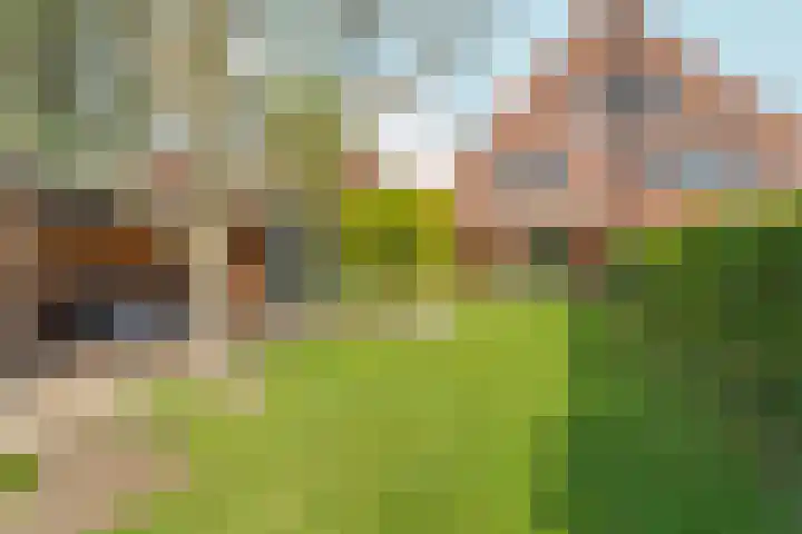 Fruithoeve 26 Arnhem thumbnail 35