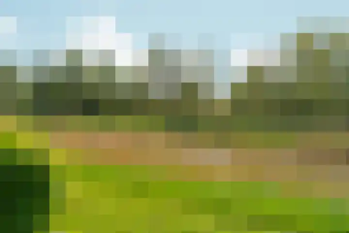Fruithoeve 26 Arnhem thumbnail 38