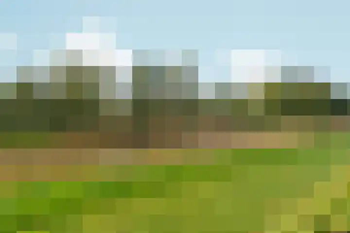 Fruithoeve 26 Arnhem thumbnail 39