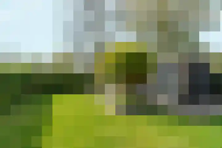 Fruithoeve 26 Arnhem thumbnail 5