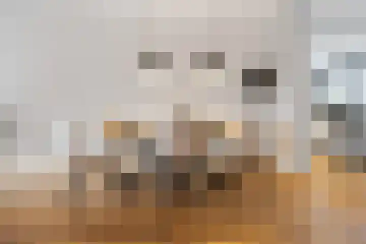 Fruithoeve 41 Arnhem thumbnail 12