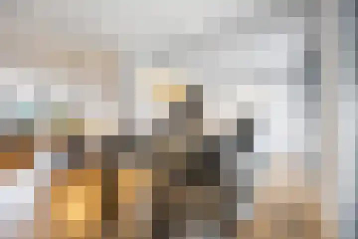 Fruithoeve 41 Arnhem thumbnail 14