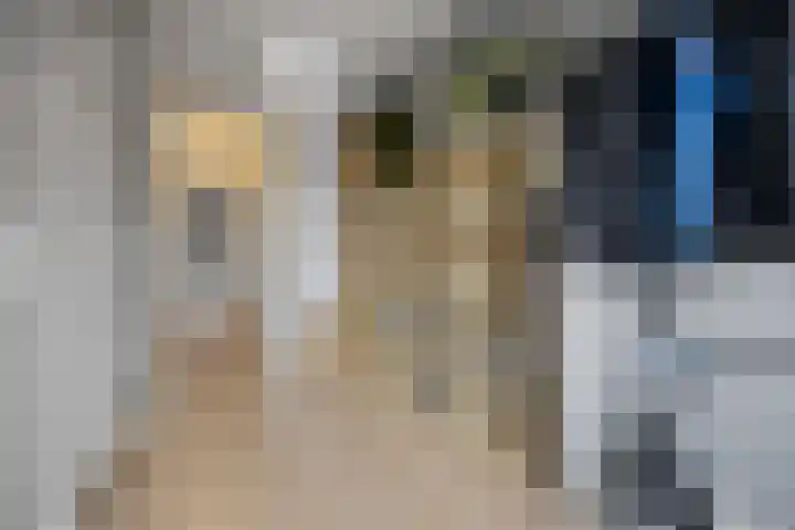Fruithoeve 41 Arnhem thumbnail 17
