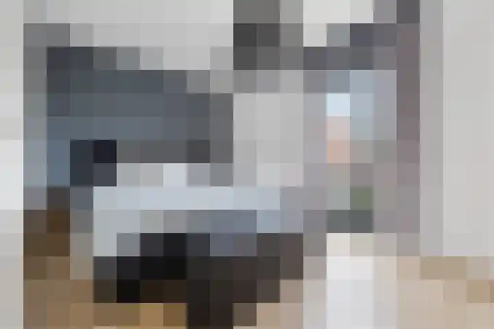 Fruithoeve 41 Arnhem thumbnail 19