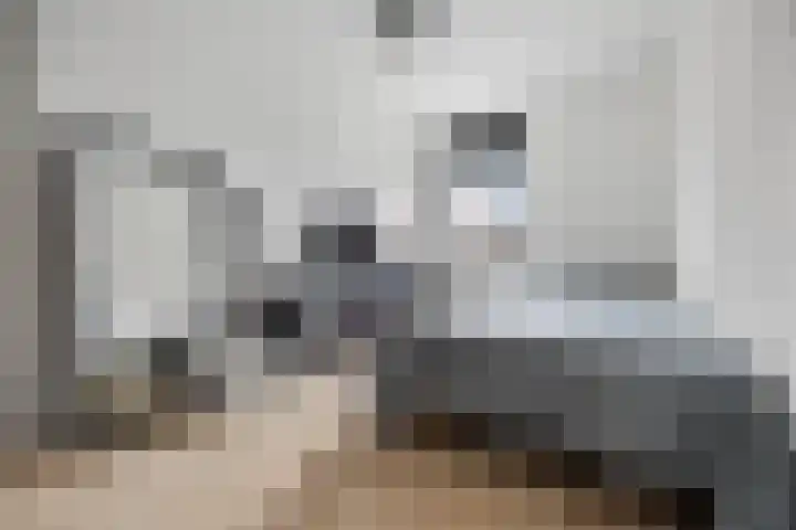 Fruithoeve 41 Arnhem thumbnail 22